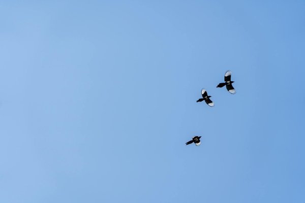 Sucre et grossesse: quel impact pour le bébé ?